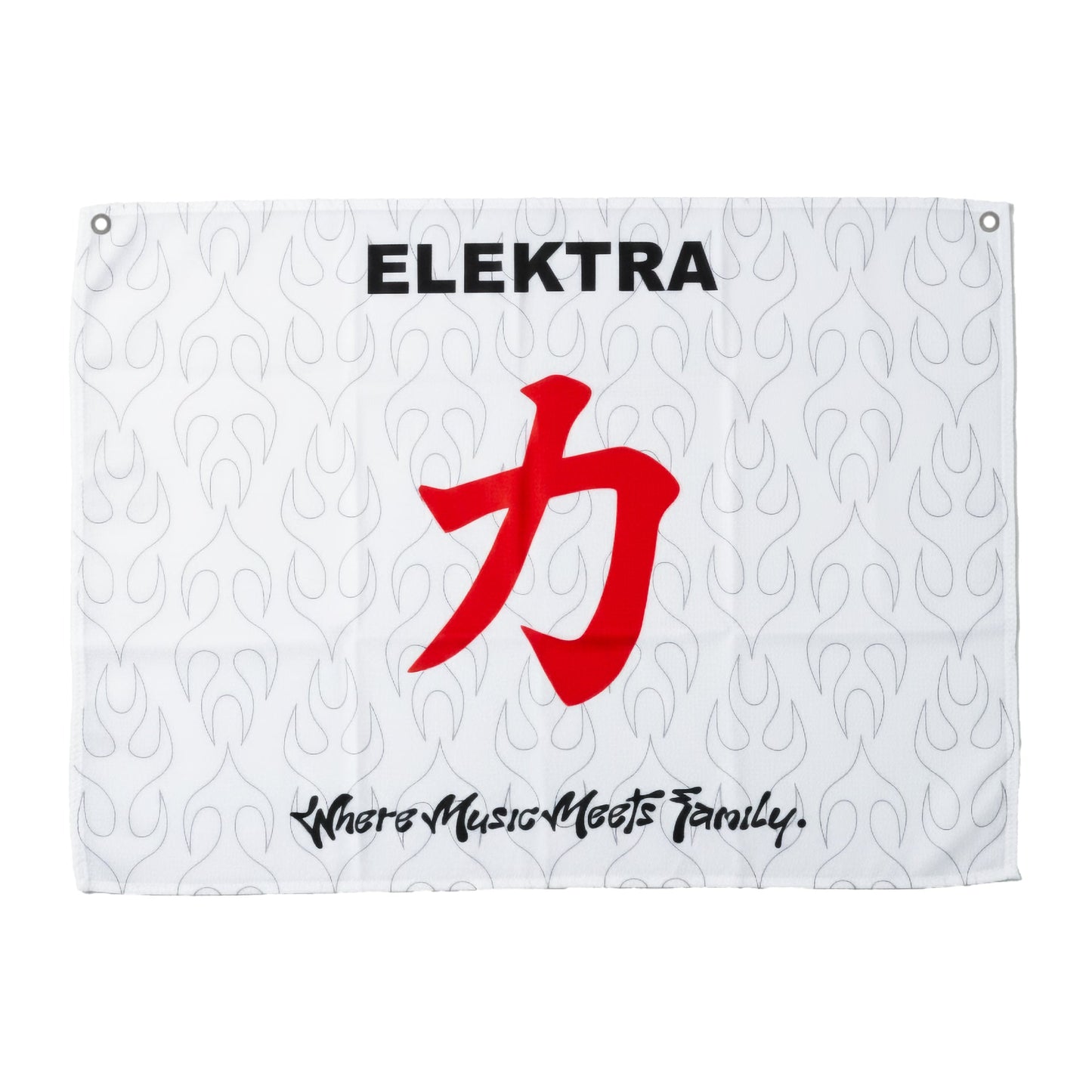 ELEKTRA FLAG